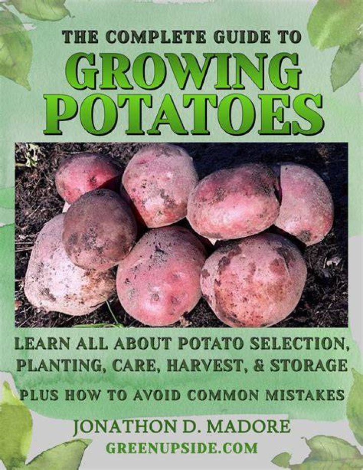 Are potatoes perennial