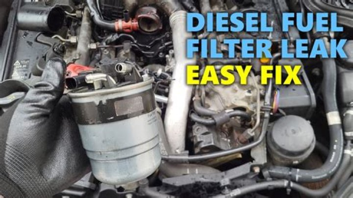 Can a fuel filter leak