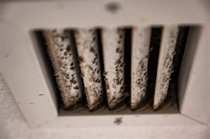 Can AC vents have mold