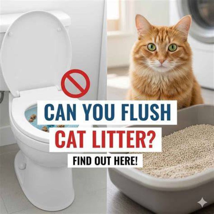 Can I flush cat litter