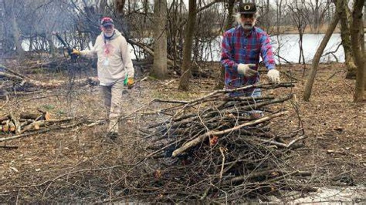 Can you burn buckthorn