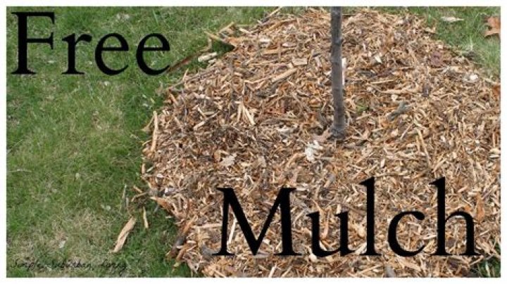 Can you get free mulch