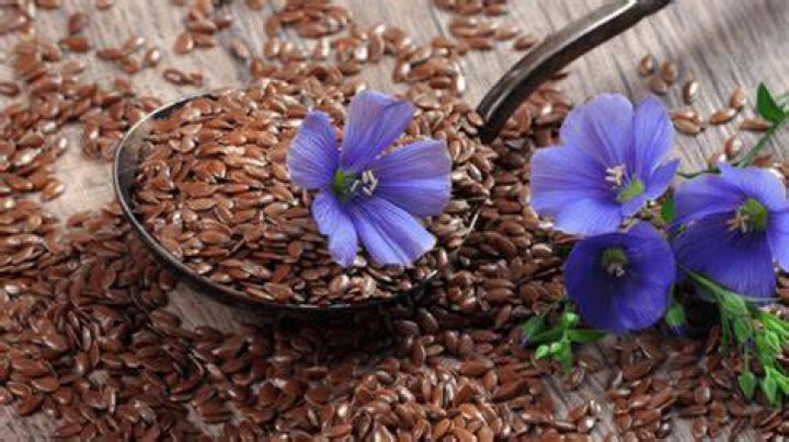 Can you grow flax seed