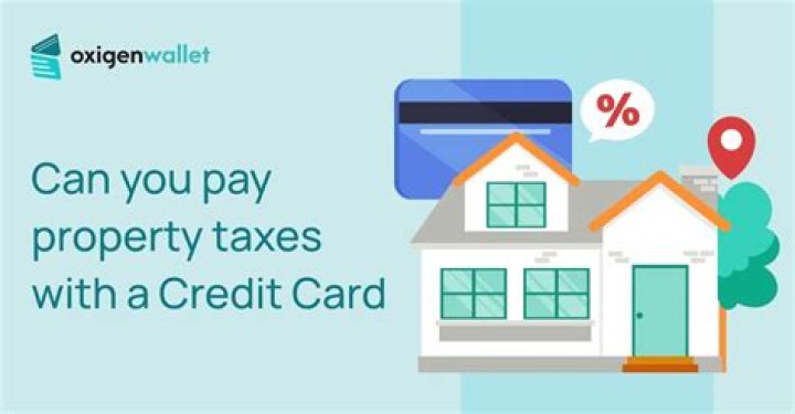 Can you pay property taxes with a credit card in Illinois