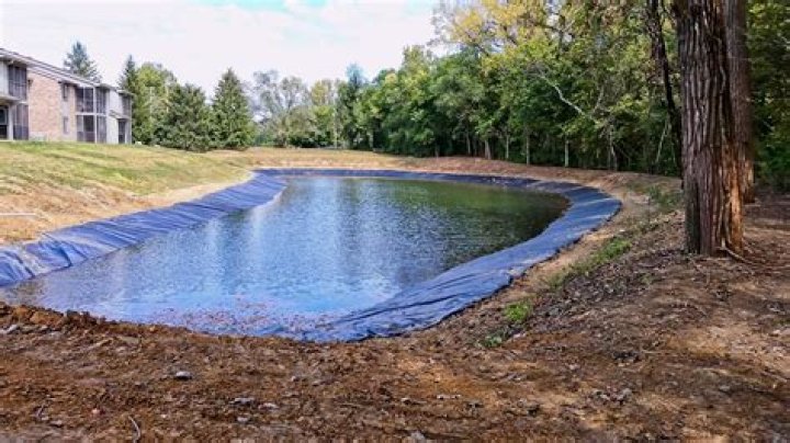 Can you use silicone in fish ponds
