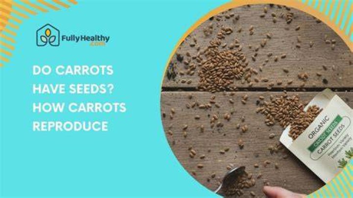 Do carrots drop seeds