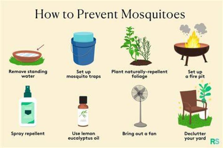 How can I use less mosquito