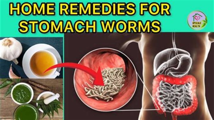 How do you get rid of worms in adults