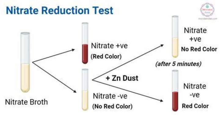 How is the nitrate test performed