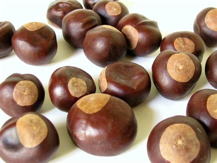 How long will a buckeye nut last