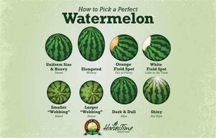 How often do you have to water watermelon