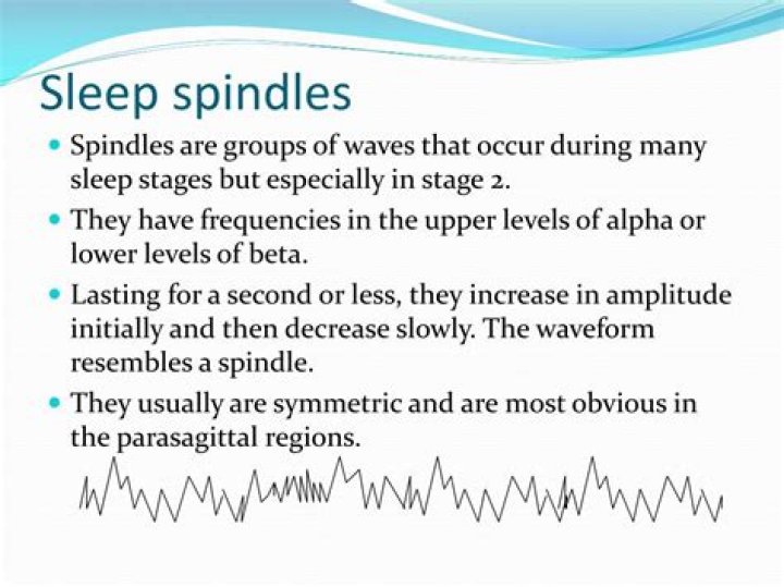 In which stage of sleep do sleep spindles occur quizlet