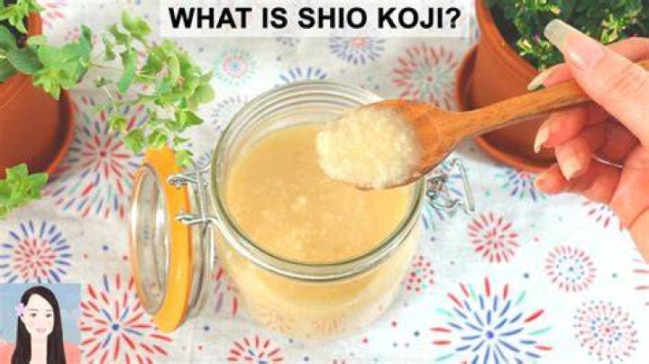 Is Koji good for dogs