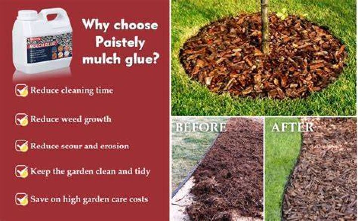 Is pea gravel toxic