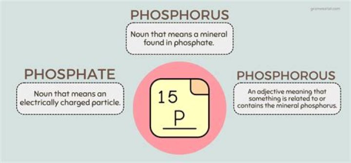 Is phosphorus the same as phosphate