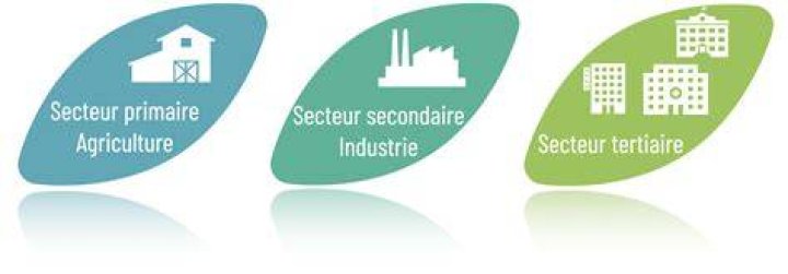 Quelle est la différence entre le secteur primaire secondaire et tertiaire