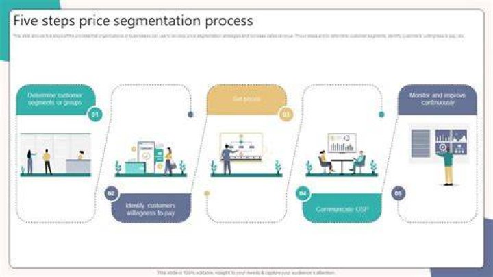 What are the five categories of the segmentation process