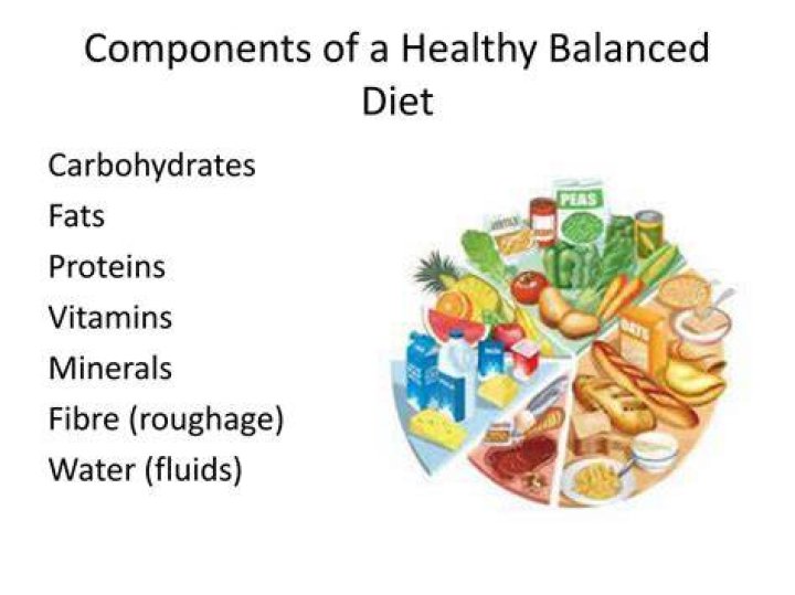 What are the key components of a healthy diet