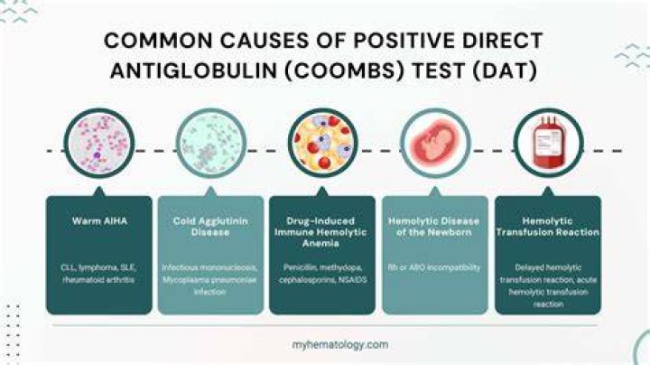 What causes a positive Coombs test