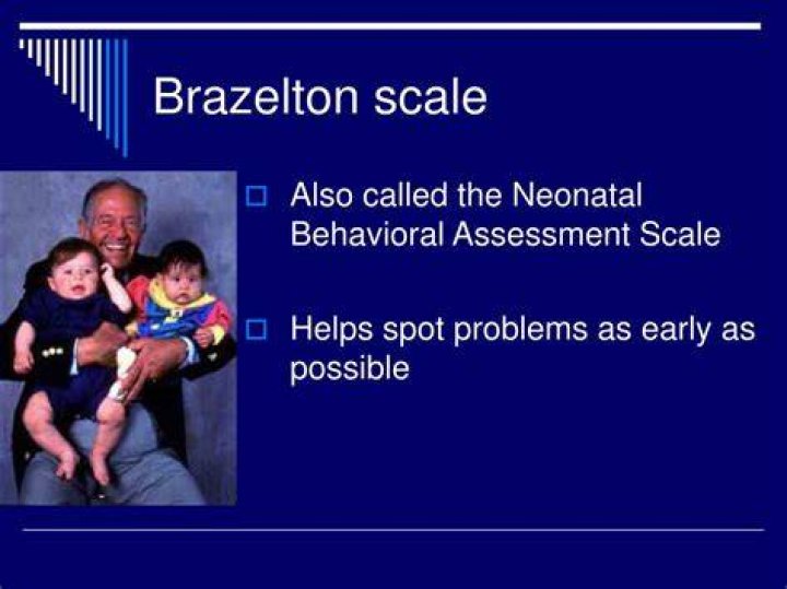 What does the Brazelton scale assess