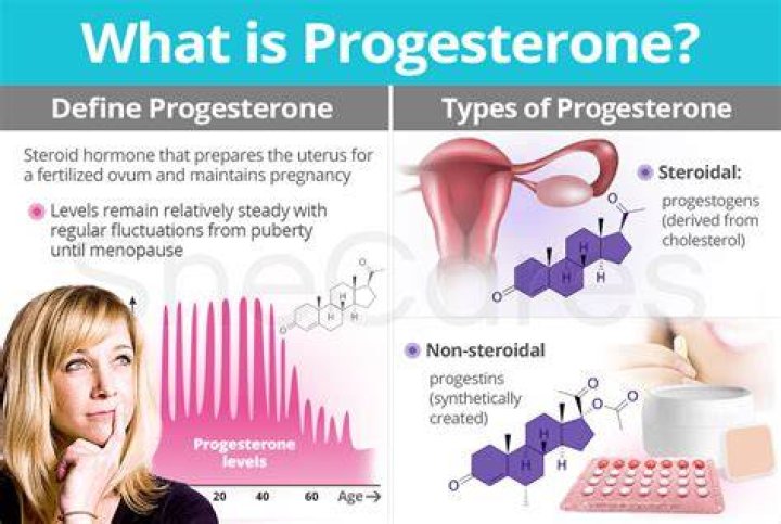 What does the hormone progesterone do