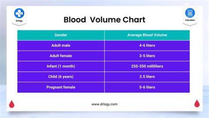 What is the average blood volume for a male