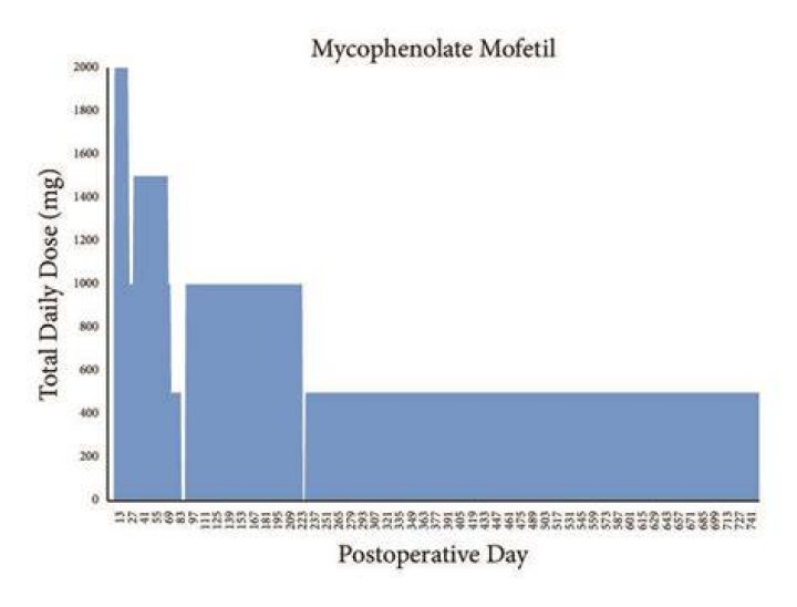What is the half life of mycophenolate