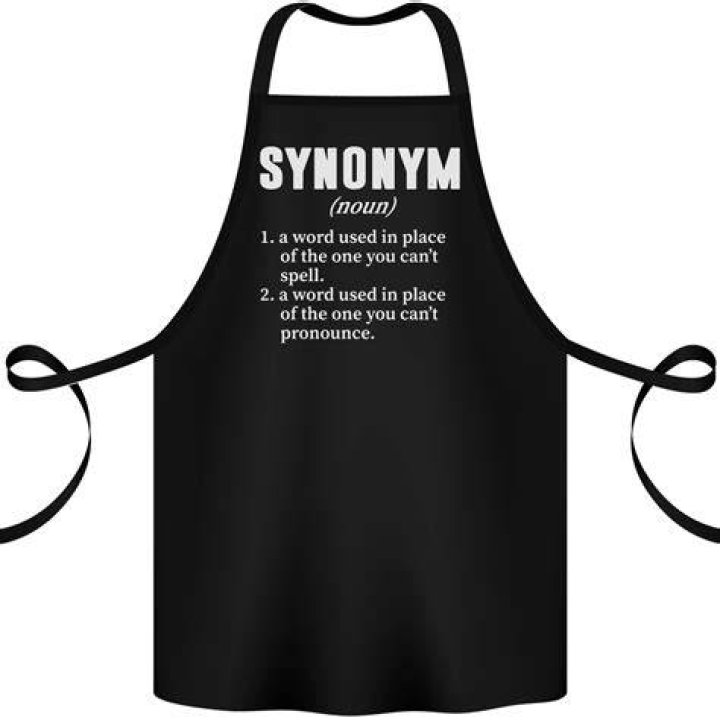 What is the synonym of apron