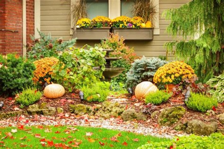 What plants do well in fall