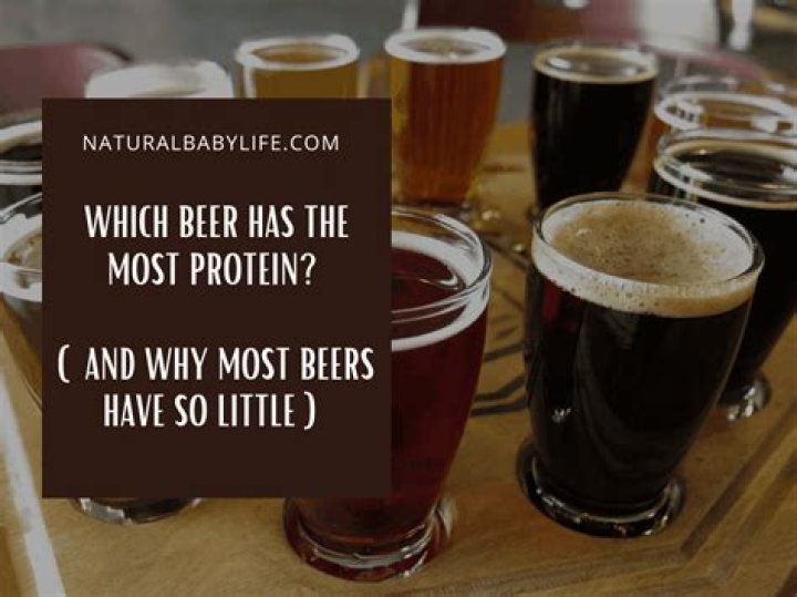 Which beer has the most protein