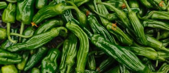 Why are only some shishito peppers spicy